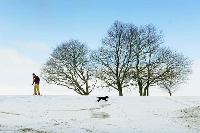 Snow on Roundhay Park earlier this month