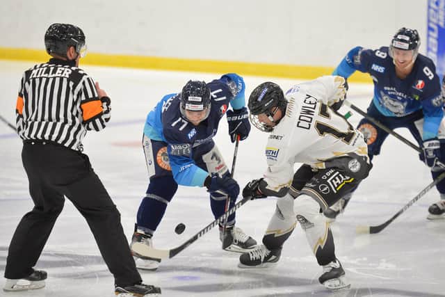 Action from last November's Streaming Series, involving Sheffield Steeldogs. Picture courtesy of Dean Woolley.