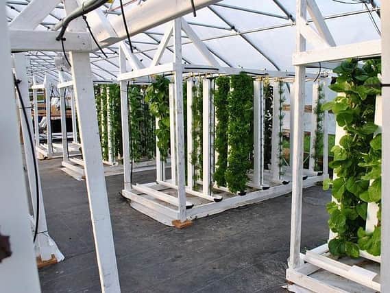 A hydroponic vertical farm.