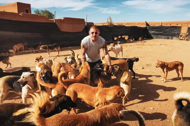 Callum Sinclair, 30, from Thorner, with his rescued dogs in Morocco.