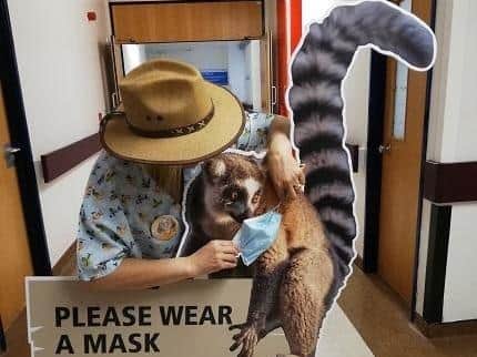 Life-size cut-outs of animals at the Yorkshire Wildlife Park are helping children understand social distancing measures at Leeds Children's Hospital.