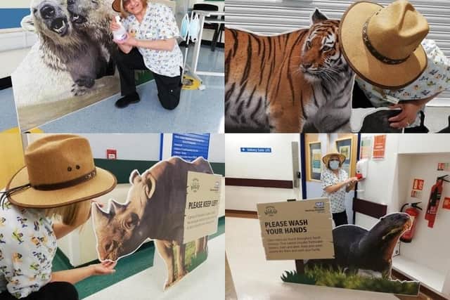 A selection of the animals helping children keep safe at Leeds Children's Hospital.