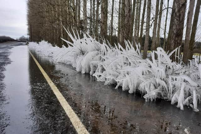 The roadside ice sculpture (photo: Neil Holloway).