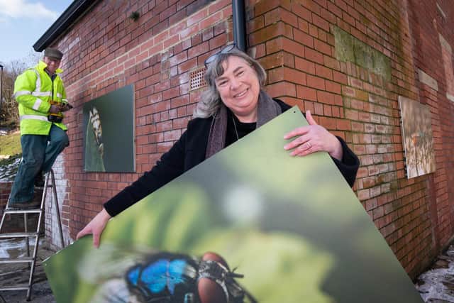 Jane Kay in the centre foreground, holding Jack Gaunt’s insect photo, with Jack’s father William in the background.