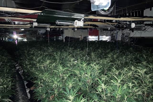 The cannabis farm was discovered in Wakefield city centre (Photo: WYP)