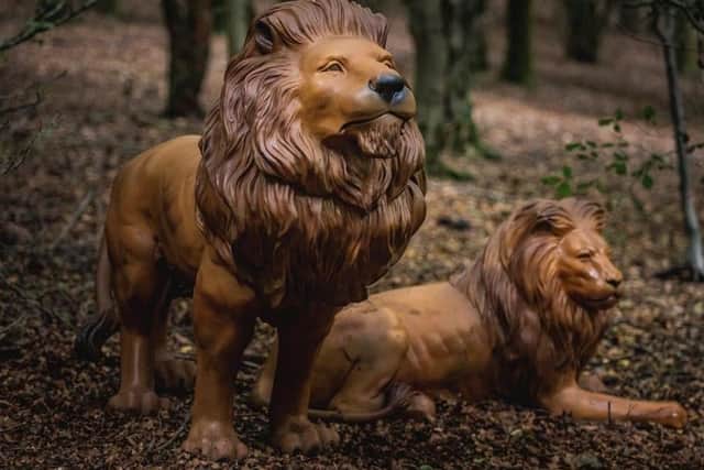 photo: Totally Roarsome
