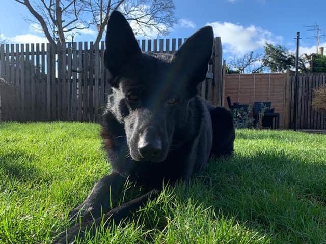 PD Shadow (photo: West Yorkshire Police)