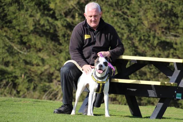 Patches (photo: Leeds Dogs Trust)