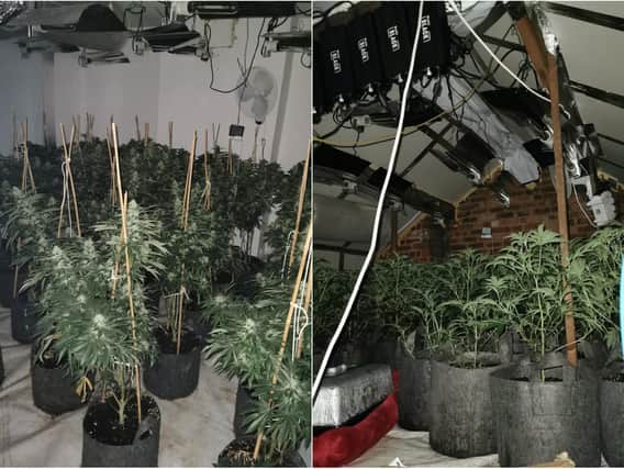 Police investigate a cannabis farm in Roundhay (photos: West Yorkshire Police - Leeds North East)
