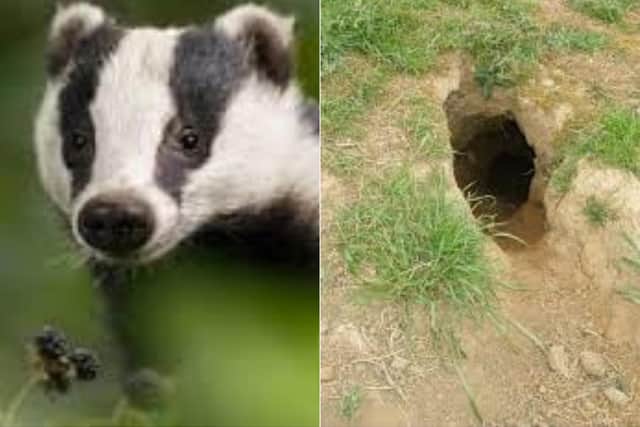 Residents have been left in shock after a large log was set on fire and placed at the entrance of a badger sett in Leeds.
