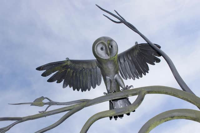 Light Owl, one of the photographs taken by Ian McKay.