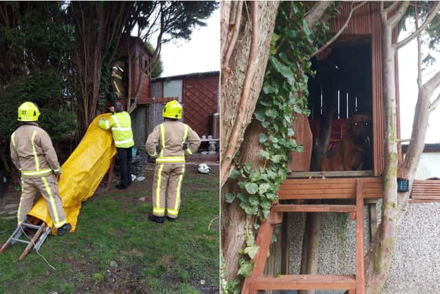 Firefighters rescuing the dog from a treehouse in Tingley (photo: West Yorkshire Fire and Rescue Service).