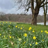 Roundhay Park, Leeds