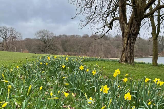 Roundhay Park, Leeds