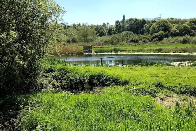 Rodley Nature Reserve.