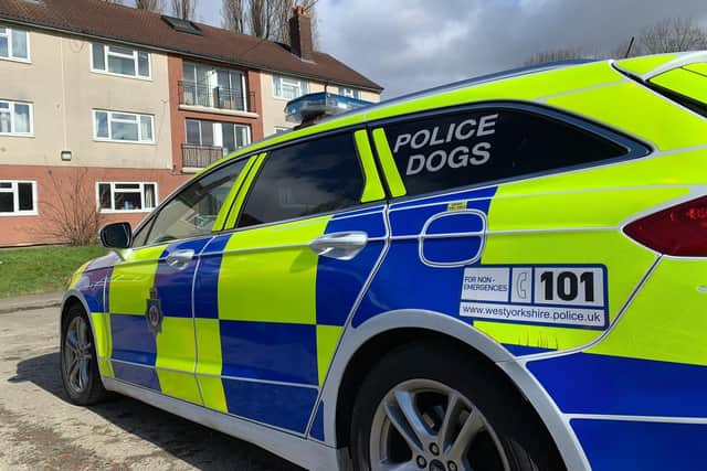 Police seized 83 dogs as part of the operation. (Stock image)