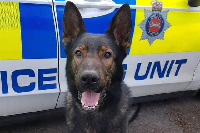 Ludo assisted Surrey Police officers in apprehending the two men from Leeds caught at Cobham Services, Surrey.