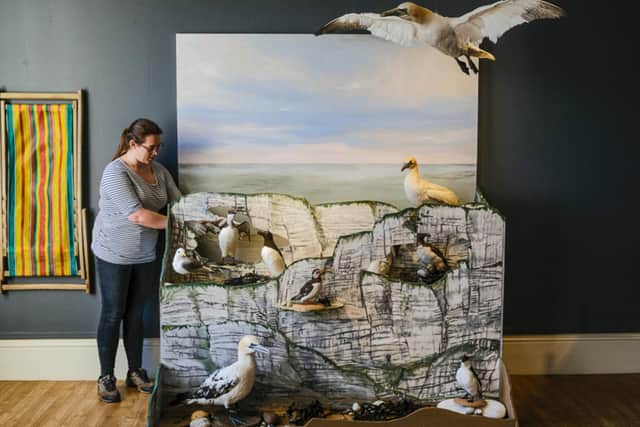 Seagulls are a big part of life in Scarborough ... or any seaside town