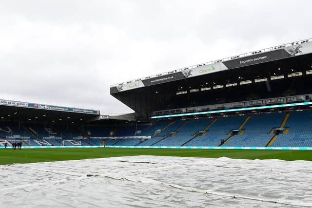 The Elland Road pitch is due an overhaul in Leeds United's future plans (Pic: Getty)
