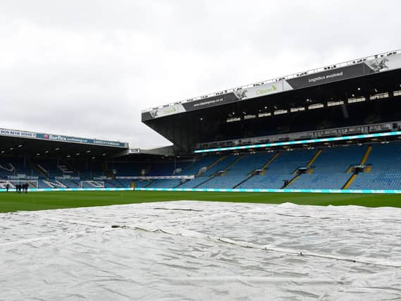 The Elland Road pitch is due an overhaul in Leeds United's future plans (Pic: Getty)