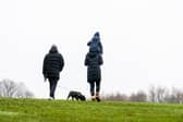 Visitors to Roundhay Park in Leeds wrapped up warm for a winter's walk. Picture: James Hardisty