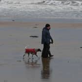 Dozens of owners said their dogs were suffering with vomiting and diarrhoea earlier this month after visiting the Yorkshire coast