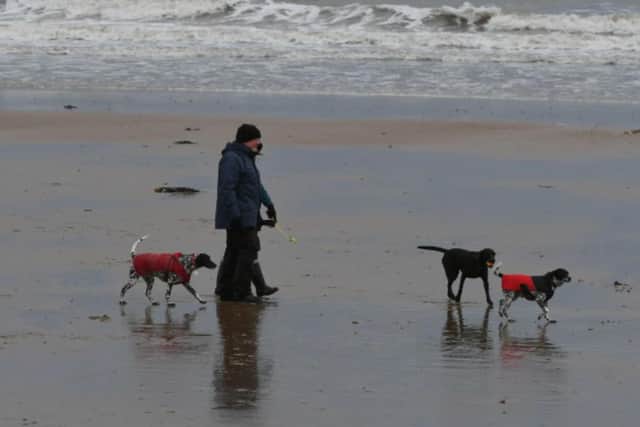 Dozens of owners said their dogs were suffering with vomiting and diarrhoea earlier this month after visiting the Yorkshire coast