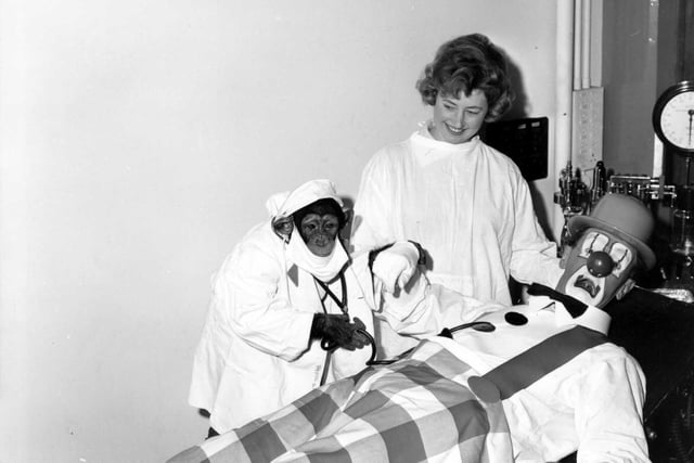 Spuggy, the clown at Billy Smarts Christmas Circus, being treated by Knoble the chimp in December 1964. He was assisted by Daphne Murgatroyd, an assistant at Leeds General Infirmary. PIC: West Yorkshire Archive Service