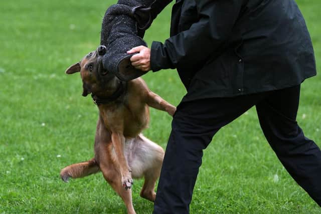 West Yorkshire Police is expanding the force's dog training centre at Carr Gate, Wakefield.