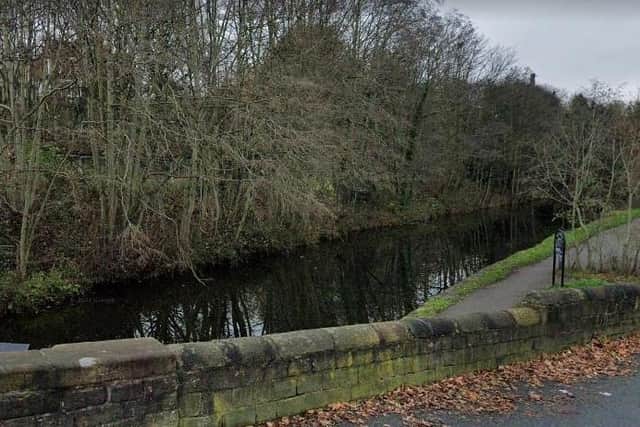 The canal, near Wyther Lane, where the puppies were found (Photo: Google)