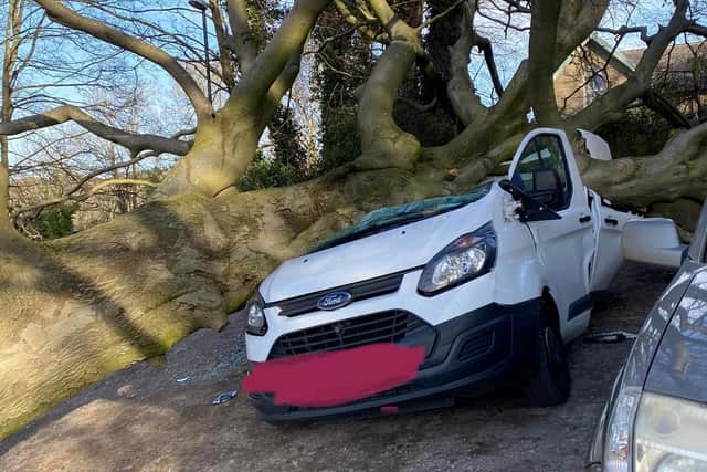 Fallen tree completely destroys van in Calverley as Storm Malik wreaks ...