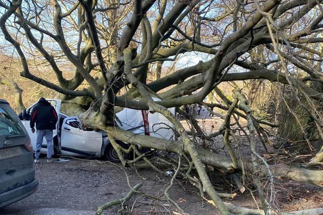 A fallen tree has completely destroyed a Ford Van in Calverley - as Storm Malik wreaks havoc across the city.
