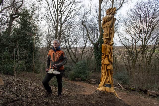 Shane Green first fell in love with chainsaw carving when he was at sixth form. Photo: Bruce Rollinson