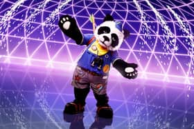 Panda. PIC: Vincent Dolman/Bandicoot TV/ITV/PA Wire