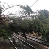Network Rail shared this image of the tree that fell onto the line near Keighley, forcing the suspension of services between Leeds and Skipton.