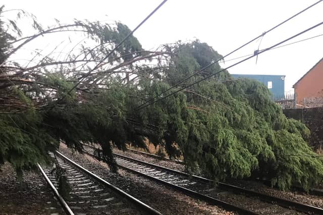 Network Rail shared this image of the tree that fell onto the line near Keighley, forcing the suspension of services between Leeds and Skipton.