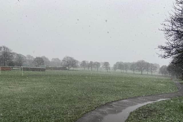 Snow in Bramley Park.