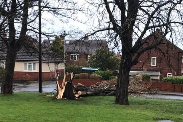 Storm Eunice Leeds: Thousands of homes without power across the city as ...