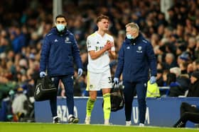 KNEE OP - Leo Hjelde will miss 'weeks' rather than months for Leeds United having had knee surgery. Pic: Getty