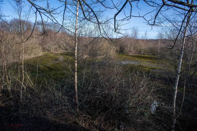 Concerns have already been raised by the Rodley Nature Reserve Trust about protecting the wildlife.