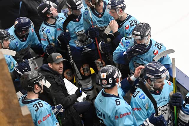Greg Wood's Sheffield Steeldogs are one of four teams vying for runners-up spot in the NIHL National regular season. 
Picture: Bruce Rollinson