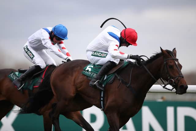 Protektorat is the leading British hope in today's Boodles Cheltenham Gold Cup.