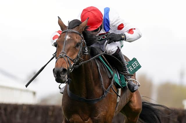 Protektorat ridden by Harry Skelton carries the hopes of Sir Alex Ferguson in today's Boodles Cheltenham Hold Cup.
