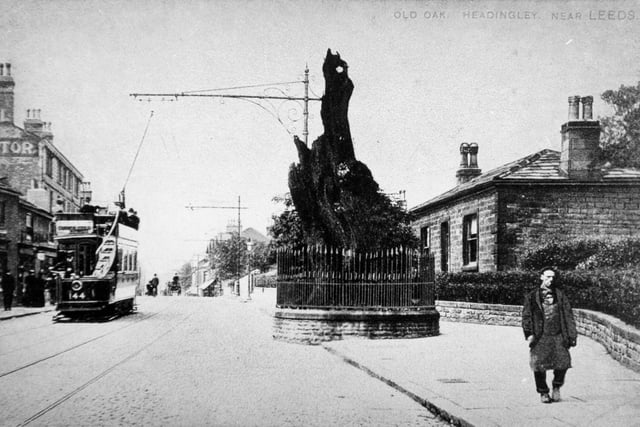 An ancient oak tree used to stand proudly to the north of St Michael's Church in Headingley until 1941, where it stayed for 1,000 years. Known locally as the 'Shire Oak', it served as a meeting point for settling legal disputes and raising armies.