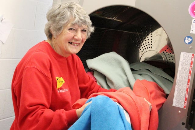 Following the recent building work, the Rehoming Centre has been able to welcome back some of their amazing volunteers. Here is Evelyn, one of the centre’s laundry volunteers. She helps the team keep the dogs bedding nice and clean for their kennels.  Although the centre is not currently recruiting new volunteers while they settle the existing ones back in, when applications do open it will be announced on the Dogs Trust Leeds website and social media channels.