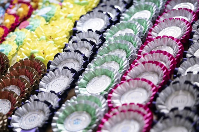 Rosettes on display during the Hollywood-themed pageant