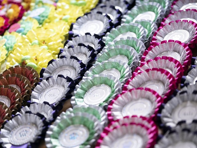 Rosettes on display during the Hollywood-themed pageant