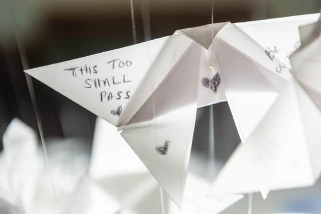 Leeds City Museum's new display of origami butterflies.