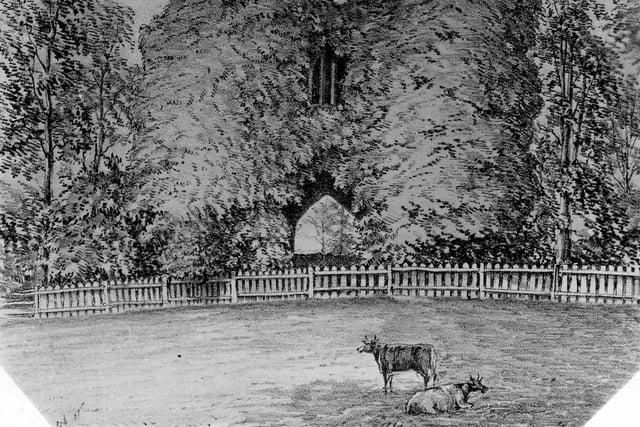 An illustration of the ivy clad castle ruins. Built to resemble a much older structure the ruin was designed and built by George Nettleton. A path is located between the two towers and at the rear is access to the interior consisted of stairs leading to a large room where the Nicholson girls would take tea and do their sewing. More steps led up to an open verandah offering a view of the park and Waterloo lake.