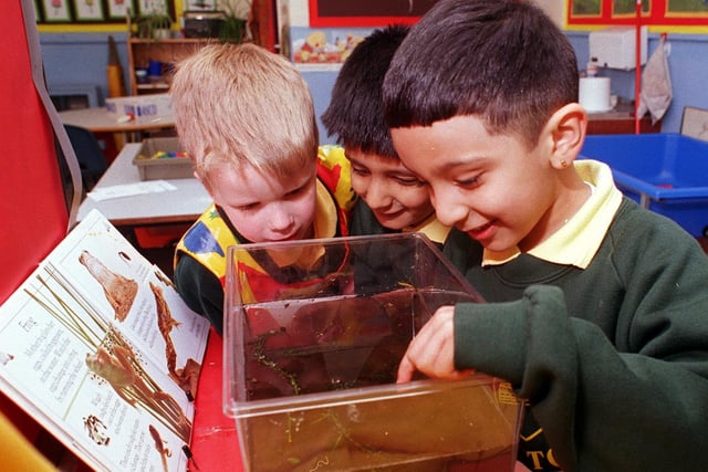 Moortown Primary School pupils Ben Waller, Umar Ilyas and Shivam Handa inspect tadpoles during a lesson in April 1999.